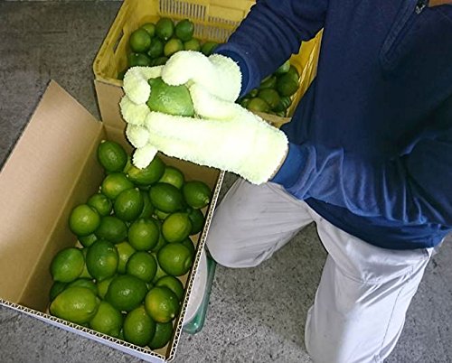 Amazon.co.jp: 国産レモン 農薬不使用 3kg 家庭用 訳あり 瀬戸田レモン